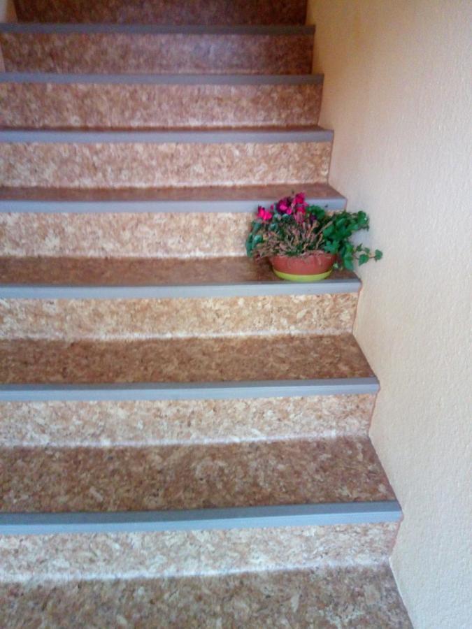 Apartament Ohne Sorgen Goslar Zewnętrze zdjęcie